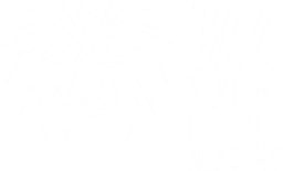 VFA Virtual Futbol Academy